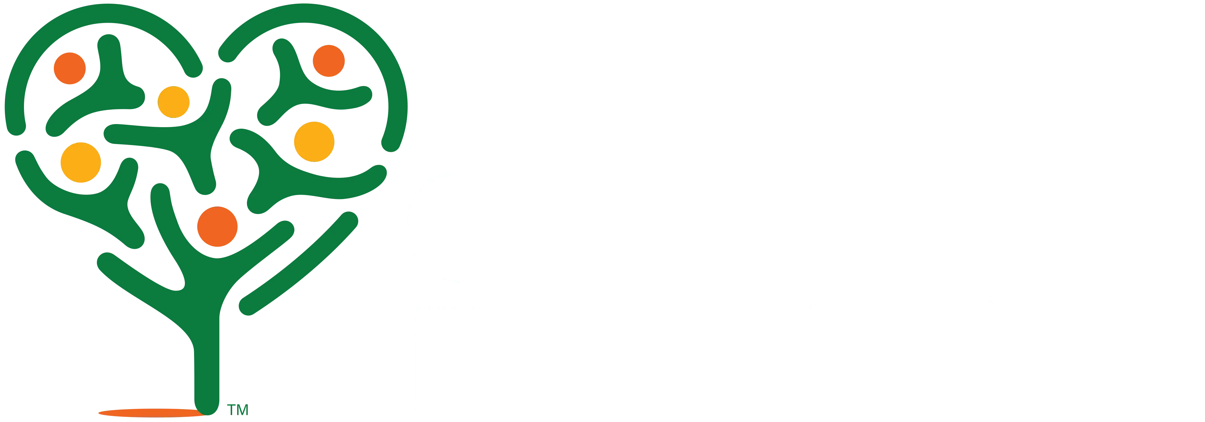 Care Camps Foundation